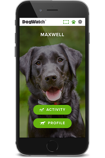 DogWatch of Chattanooga, Chattanooga, Tennessee | SmartFence WebApp Image