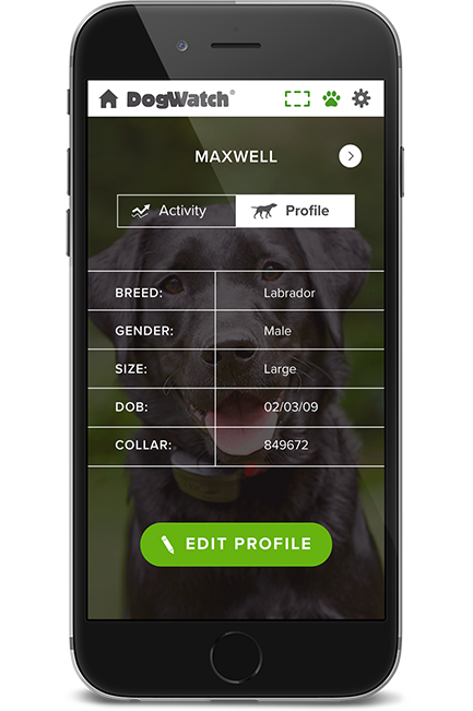 DogWatch of Chattanooga, Chattanooga, Tennessee | SmartFence WebApp Image