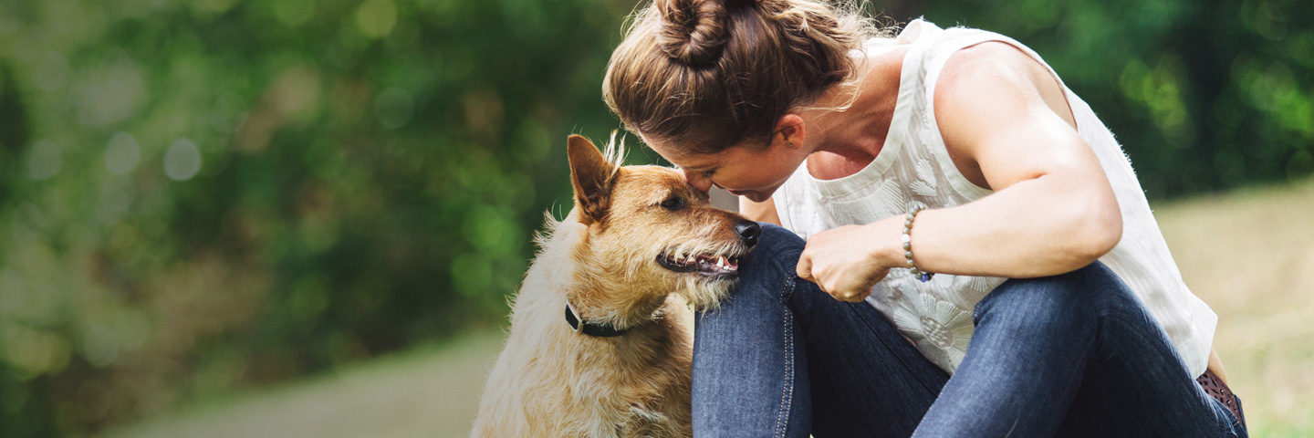 DogWatch of Chattanooga, Chattanooga, Tennessee | BarkCollar No-Bark Trainer Slider Image